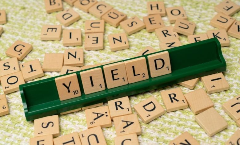 dividend yield company overview