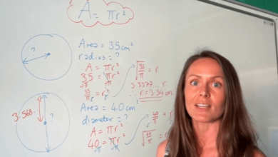 Calculating Circle Area Using Diameter