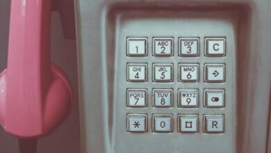 phone numbers verification scam