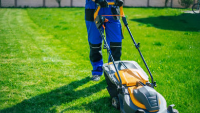 How Lawn Mowing Helps Maintain a Healthy and Beautiful Yard