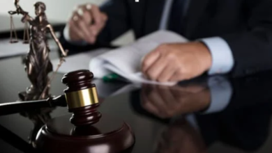 Understanding the Role of a Criminal Defense Lawyer in Protecting Your Rights