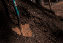 How Topsoil Delivery Supports Healthy Lawn and Garden Growth