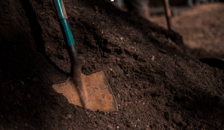 How Topsoil Delivery Supports Healthy Lawn and Garden Growth