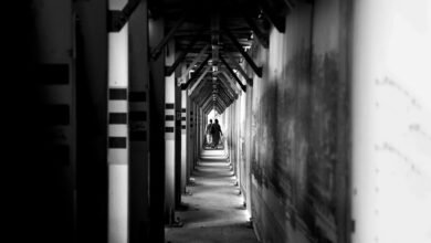 authority framework overview document