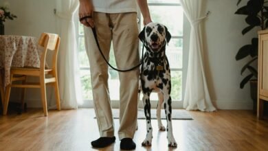 caller reputation evaluation alerts