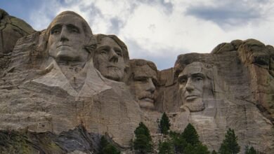 digital impact analysis tool