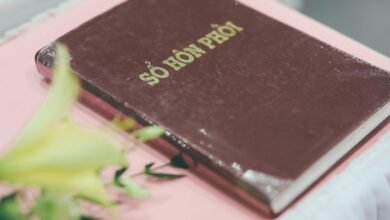 digital registry system overview