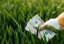 dynamic strategic growth framework