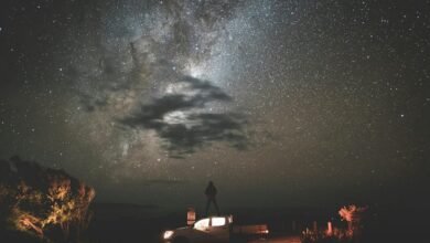 smart success strategies unveiled